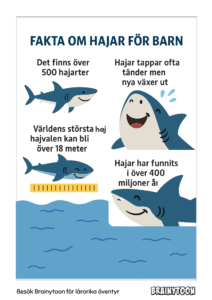 Fakta om hajar för små barn