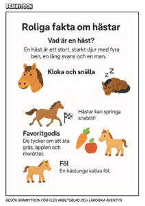 Fakta om hästar för barn