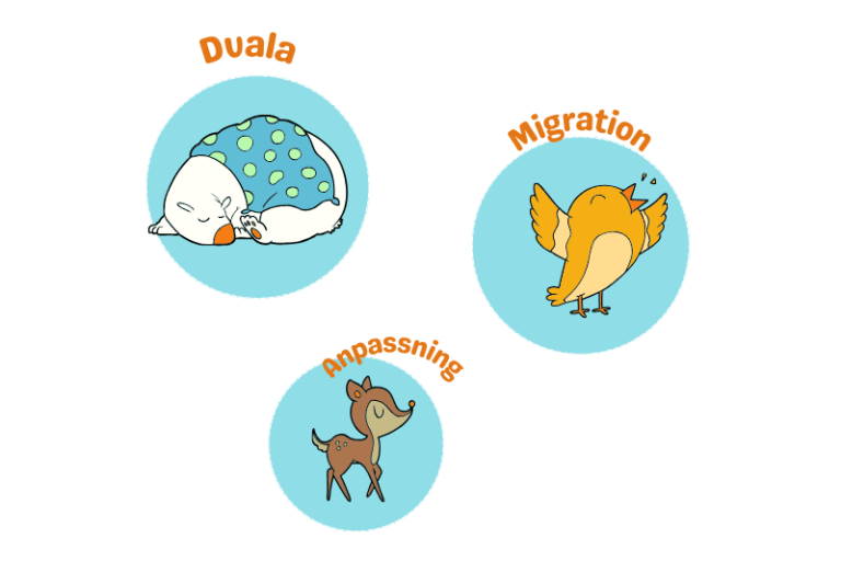 Bilduppgift för Åk 1 Vinter