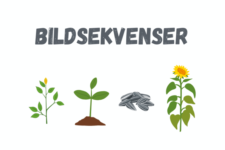 Bildsekvenser som läromedel
