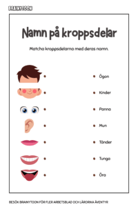 Kroppsdelar aktiviteter och arbetsblad