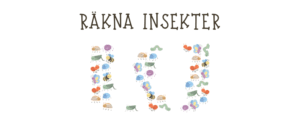 Skriv ut räkneövning