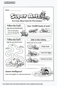 Super ants: Fun facts about ants for first graders