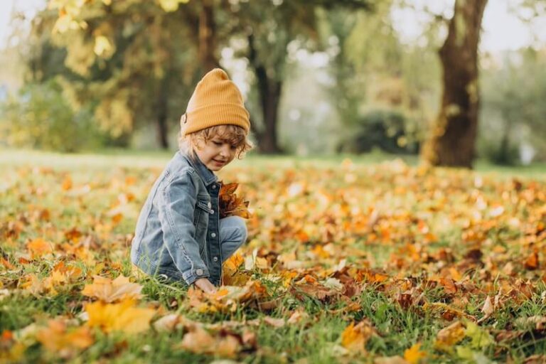 Fall Bible lessons for kids in preschool theme